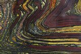 Polished Tiger Iron Stromatolite - ( Billion Years) #64016-1